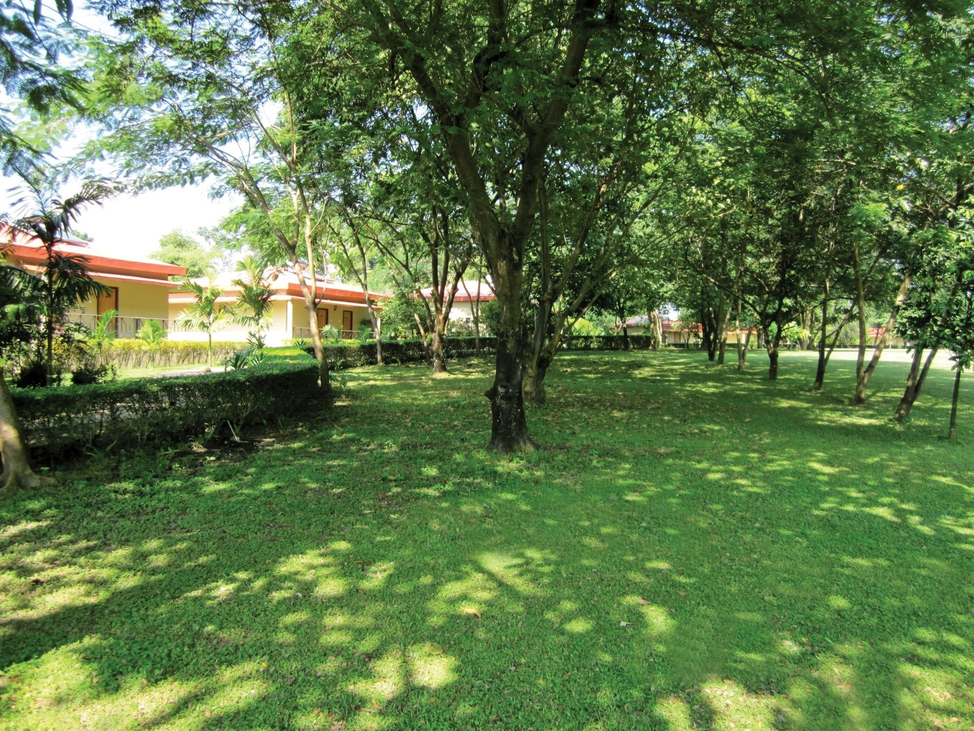 Sinclairs Retreat Dooars, Chalsa Hotel Kültér fotó